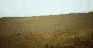 CGI Dry landscape with barren bushes under a hazy sky during sunset video