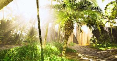 CGI Lush tropical pathway illuminated by sunlight in a serene environment video