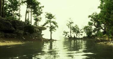 CGI Serene river landscape with trees and reflective water on a bright day video