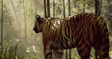 CGI Majestic tiger walks through a sunlit forest with tall trees and greenery video