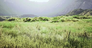 CGI Lush green landscape with mountains and soft sunlight in the background video