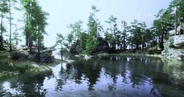 CGI Lush forest surrounds serene lake with reflections on calm water video