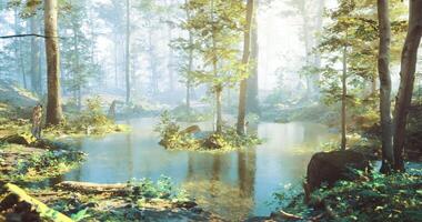 CGI Serenity in a tranquil forest with a calm pond during the morning light video