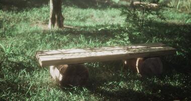 CGI Wooden bench resting on logs in a tranquil green garden space video