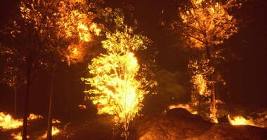 CGI Wildfire spreads rapidly through forested area during nighttime blaze video