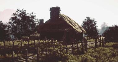 CGI Rustic countryside cottage surrounded by tall grass in late afternoon light video