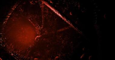 CGI Magic of the forest at night with glowing elements and mysterious atmosphere video