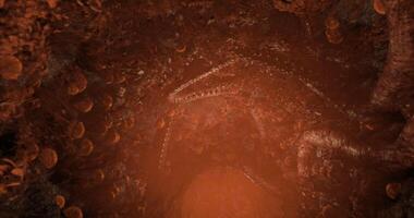 CGI Underwater cave illuminated by vibrant orange coral formations video