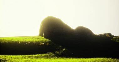 CGI Large rock formations on a lush green hillside during sunset video