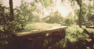 CGI Sunlight filters through trees onto a rustic wooden bench in nature video
