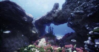CGI Colorful underwater coral reef with marine life in a vibrant ocean setting video