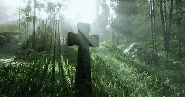 CGI A weathered cross is prominently positioned in a vibrant, green forest video