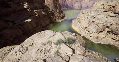 CGI Stunning view of the river flowing through rocky canyon landscape video