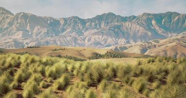 CGI Wide grassy landscape with rugged mountains in the background during daylight video
