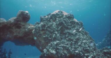 CGI Underwater coral reef habitat teeming with marine life in clear blue waters video