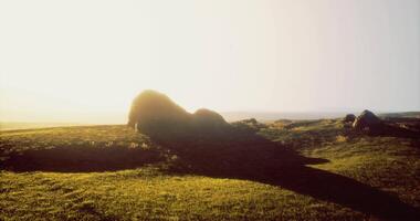 CGI Rock formations create interesting shadows at sunrise over hillside video