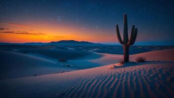Cactus Standing in Desert Sand Dunes at Dusk with Starry Sky photo
