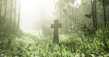 CGI Cross standing alone in misty forest with sunlight filtering through trees video