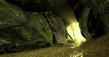 CGI Exploring a tranquil cave with sunlight filtering through the trees video