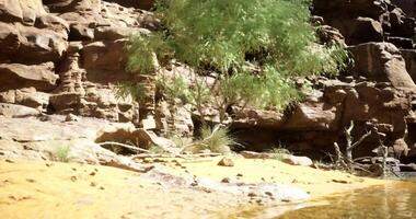 CGI Rocky terrain with water and vegetation in a remote natural setting video