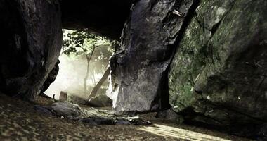CGI Exploration of a mysterious cave with sunlight filtering through trees video