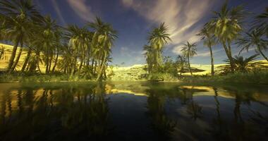 CGI Tranquil oasis surrounded by palm trees under a bright blue sky video
