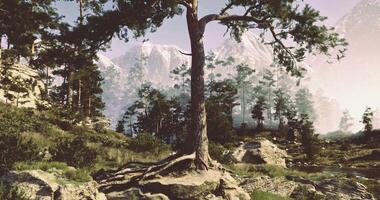 CGI Majestic tree with roots in serene mountain landscape during daylight video