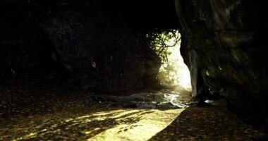 CGI Cave entrance with sunlight filtering through trees in a lush environment video