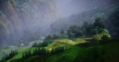 CGI Lush green hills under misty mountains in a tranquil valley landscape video