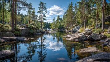 High resolution summer nature image with detailed textures photo