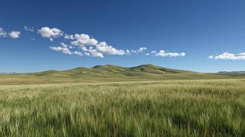 High resolution summer scene image with bright textures photo