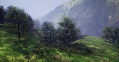 CGI Lush green valley surrounded by hills with trees in misty atmosphere video
