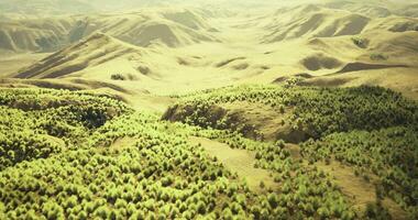 CGI Lush green landscape with rolling hills under bright sunlight at midday video