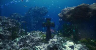 CGI Exploring an underwater cross amidst vibrant marine life and coral reef video