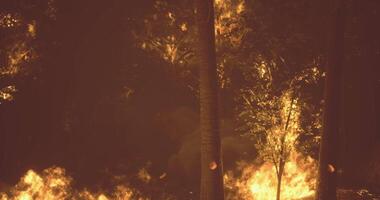 CGI Wildfire engulfing a forest area during evening hours with flames visible video