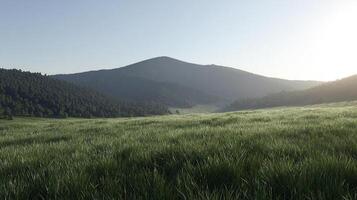 Photorealistic summer nature image with sharp textures photo