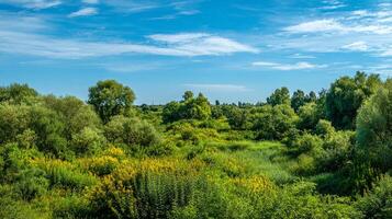 Bright sunny summer day image in detailed landscape photo