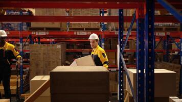 Two warehouse workers are lifting boxes of merchandise on a pallet jack to store on a shelf in a warehouse,100 photo