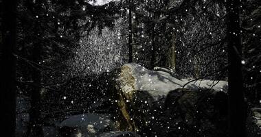 CGI Snowfall creates a serene atmosphere in a quiet forest clearing video