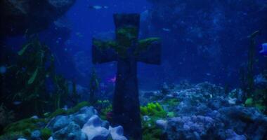 CGI Exploring the underwater world with a mysterious cross and colorful fish video