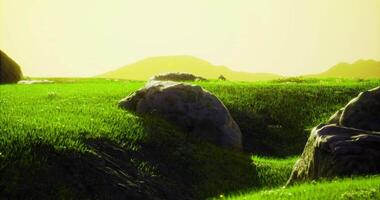 CGI Vibrant landscape with green grass and rocky formations during sunset video