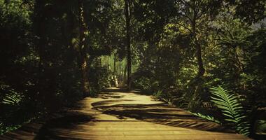 CGI Exploring a wooden path through a lush tropical forest in bright sunlight video