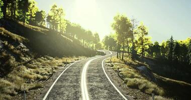 CGI Curvy road surrounded by trees on a bright sunny day in nature video