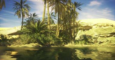 CGI Desert oasis with lush palm trees and tranquil water under a bright sky video