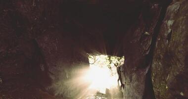 CGI Daylight streams through a cave opening in a natural setting video