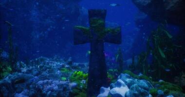 CGI Underwater view of an ancient cross among vibrant marine life video