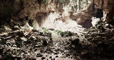 CGI Exploring a serene cave with lush vegetation and rocky terrain video