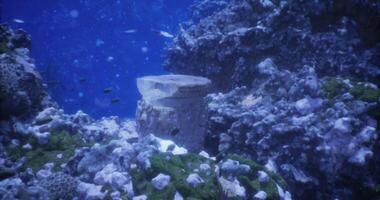CGI Exploring ancient ruins submerged in the oceans depths near coral reefs video
