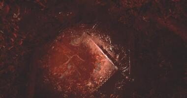 CGI Unearthing a hidden object in a forest with rich red soil and foliage video