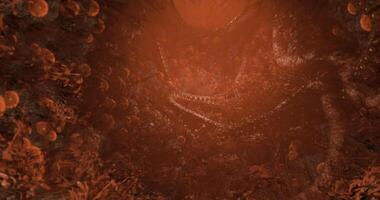 CGI Detailed view of a deep, luminous cavern filled with organic structures video